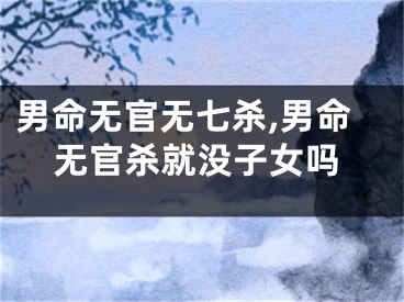 男命无官无七杀,男命无官杀就没子女吗
