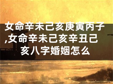 女命辛未己亥庚寅丙子,女命辛未己亥辛丑己亥八字婚姻怎么