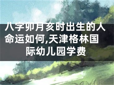 八字卯月亥时出生的人命运如何,天津格林国际幼儿园学费