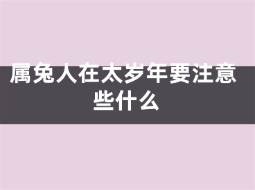 属兔人在太岁年要注意些什么