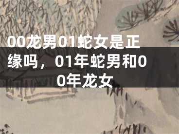 00龙男01蛇女是正缘吗，01年蛇男和00年龙女