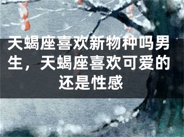 天蝎座喜欢新物种吗男生，天蝎座喜欢可爱的还是性感