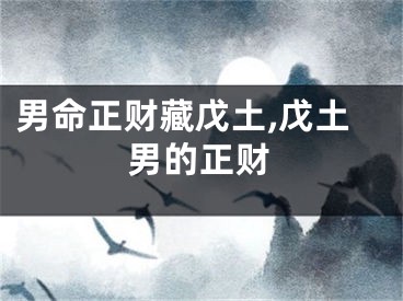 男命正财藏戊土,戊土男的正财