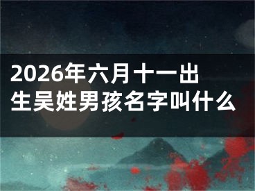 2026年六月十一出生吴姓男孩名字叫什么