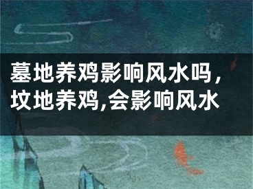 墓地养鸡影响风水吗,坟地养鸡,会影响风水