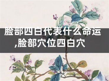 脸部四白代表什么命运,脸部穴位四白穴