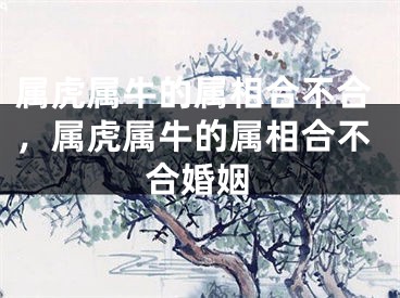 属虎属牛的属相合不合,属虎属牛的属相合不合婚姻