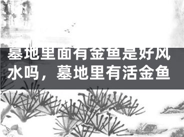 墓地里面有金鱼是好风水吗,墓地里有活金鱼