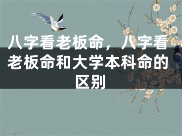 八字看老板命，八字看老板命和大学本科命的区别