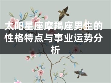 太阳星座摩羯座男生的性格特点与事业运势分析