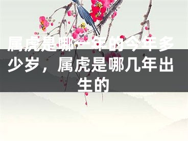 属虎是哪一年的今年多少岁,属虎是哪几年出生的