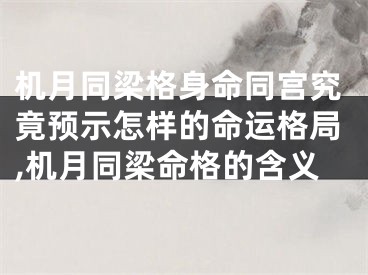 机月同梁格身命同宫究竟预示怎样的命运格局,机月同梁命格的含义