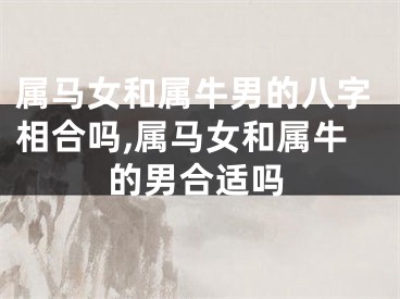 属马女和属牛男的八字相合吗,属马女和属牛的男合适吗