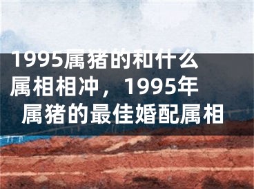 1995属猪的和什么属相相冲,1995年属猪的最佳婚配属相