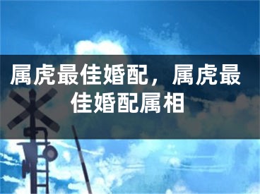 属虎最佳婚配，属虎最佳婚配属相