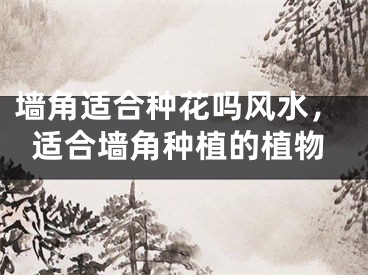墙角适合种花吗风水,适合墙角种植的植物