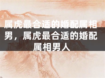 属虎最合适的婚配属相男，属虎最合适的婚配属相男人