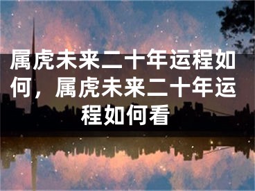 属虎未来二十年运程如何,属虎未来二十年运程如何看