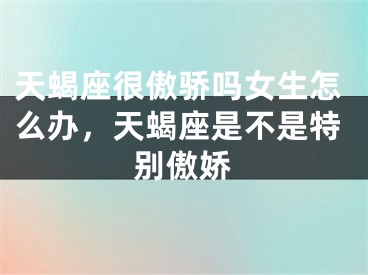 天蝎座很傲骄吗女生怎么办，天蝎座是不是特别傲娇