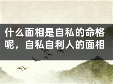 什么面相是自私的命格呢，自私自利人的面相