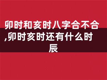 卯时和亥时八字合不合,卯时亥时还有什么时辰