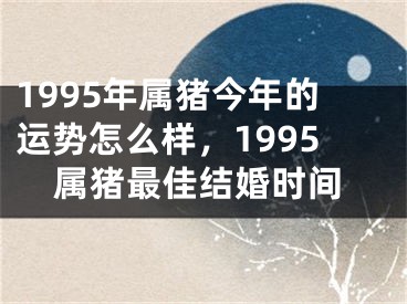 1995年属猪今年的运势怎么样,1995属猪最佳结婚时间
