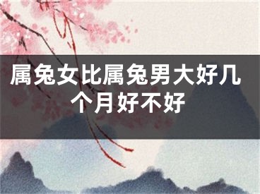 属兔女比属兔男大好几个月好不好