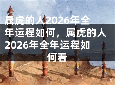 属虎的人2026年全年运程如何，属虎的人2026年全年运程如何看