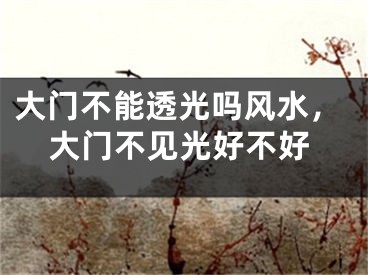 大门不能透光吗风水，大门不见光好不好