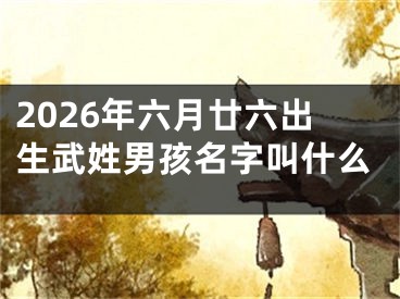2026年六月廿六出生武姓男孩名字叫什么