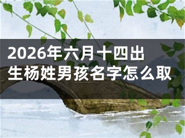 2026年六月十四出生杨姓男孩名字怎么取