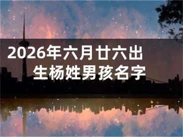 2026年六月廿六出生杨姓男孩名字