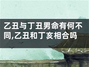 乙丑与丁丑男命有何不同,乙丑和丁亥相合吗
