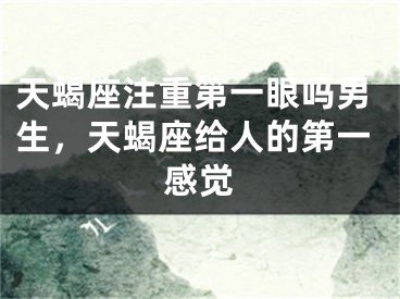 天蝎座注重第一眼吗男生，天蝎座给人的第一感觉