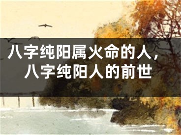 八字纯阳属火命的人，八字纯阳人的前世