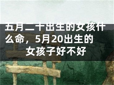五月二十出生的女孩什么命，5月20出生的女孩子好不好