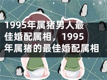 1995年属猪男人最佳婚配属相,1995年属猪的最佳婚配属相