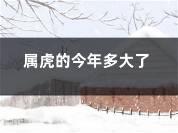 属虎的今年多大了