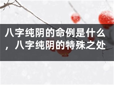八字纯阴的命例是什么，八字纯阴的特殊之处