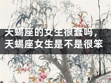天蝎座的女生很蠢吗，天蝎座女生是不是很笨