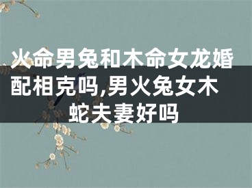 火命男兔和木命女龙婚配相克吗,男火兔女木蛇夫妻好吗