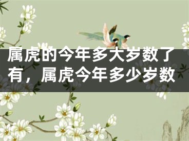 属虎的今年多大岁数了有,属虎今年多少岁数
