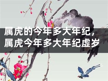 属虎的今年多大年纪,属虎今年多大年纪虚岁