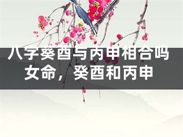 八字葵酉与丙申相合吗女命，癸酉和丙申