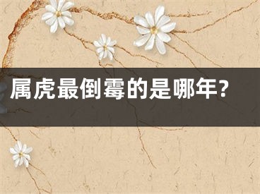属虎最倒霉的是哪年?