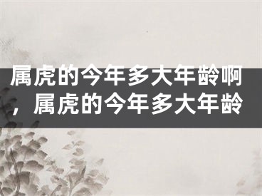 属虎的今年多大年龄啊,属虎的今年多大年龄
