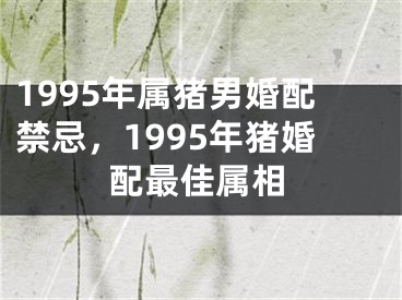 1995年属猪男婚配禁忌,1995年猪婚配最佳属相
