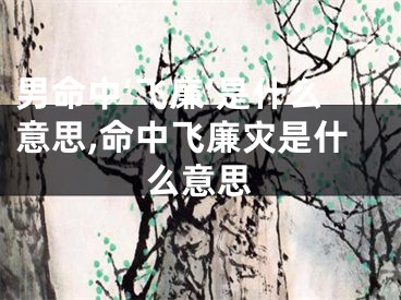 男命中‘飞廉’是什么意思,命中飞廉灾是什么意思