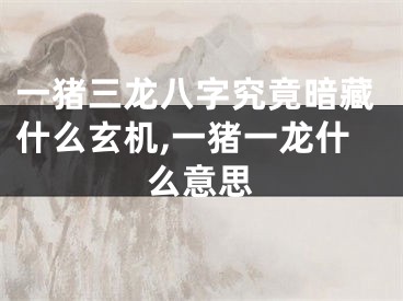 一猪三龙八字究竟暗藏什么玄机,一猪一龙什么意思
