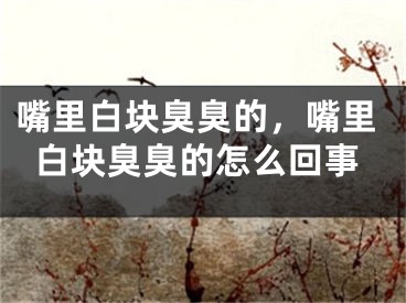 嘴里白块臭臭的，嘴里白块臭臭的怎么回事